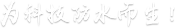 山東魯瑞電力集團有限公司